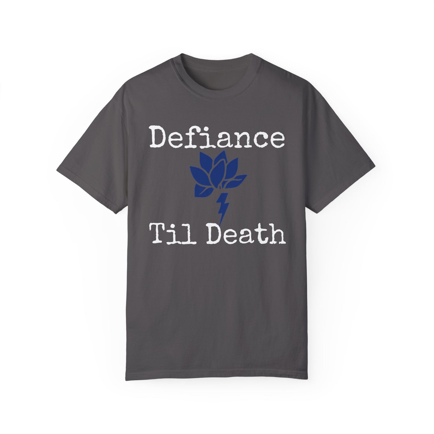 Unisex Garment-Dyed T-Shirt - National Resistance Council Design
