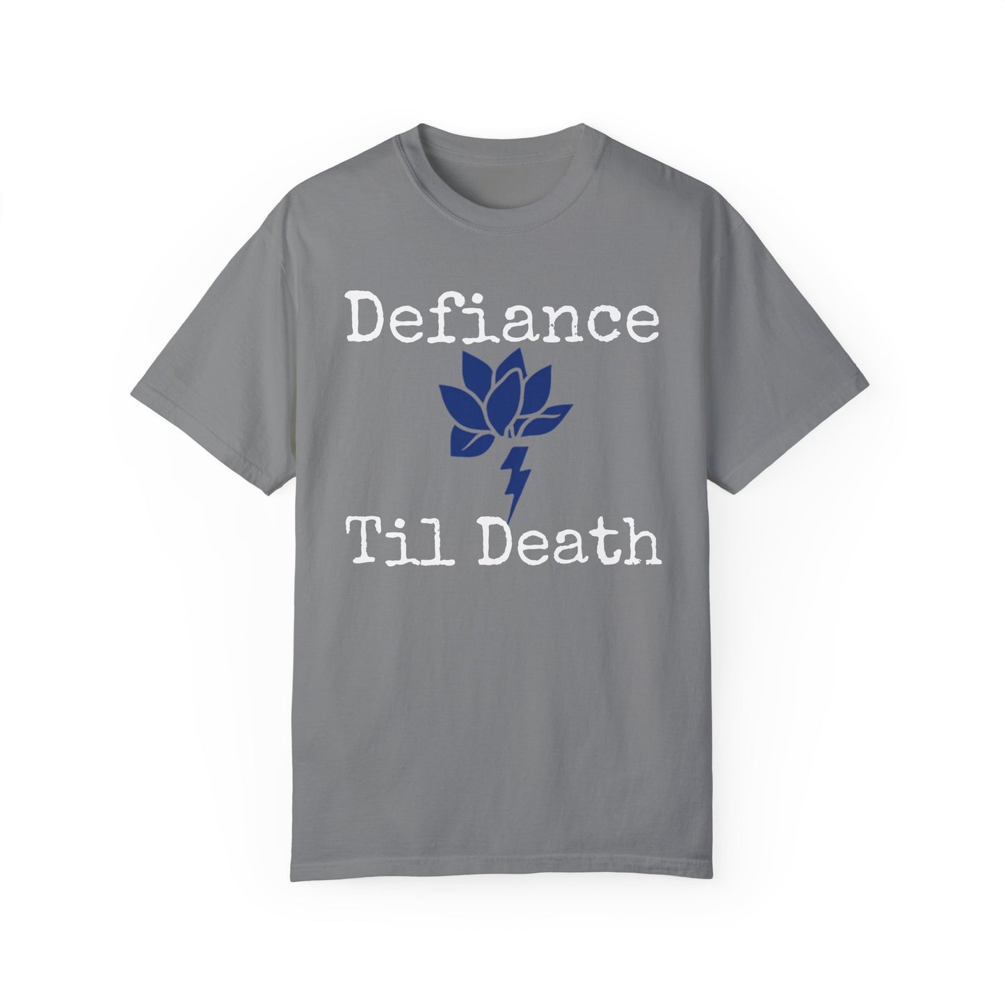 Unisex Garment-Dyed T-Shirt - National Resistance Council Design