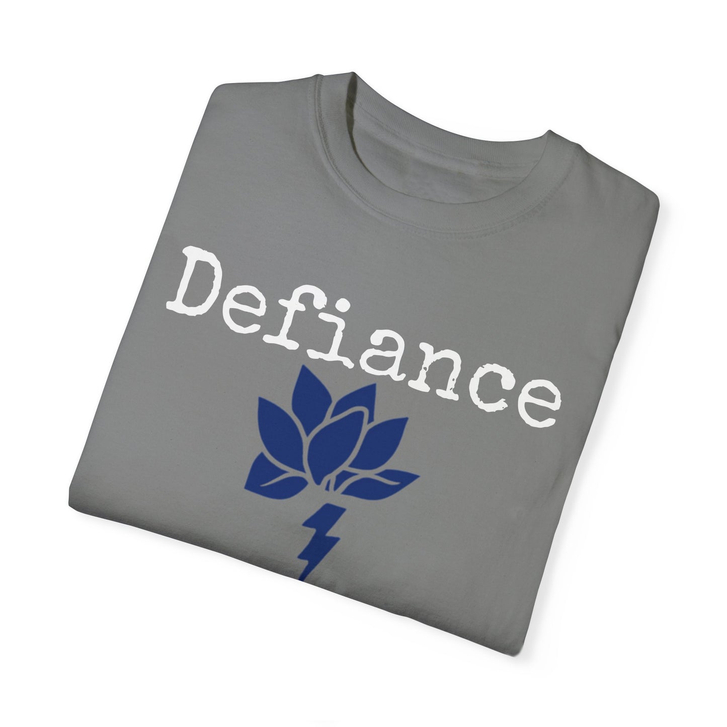 Unisex Garment-Dyed T-Shirt - National Resistance Council Design