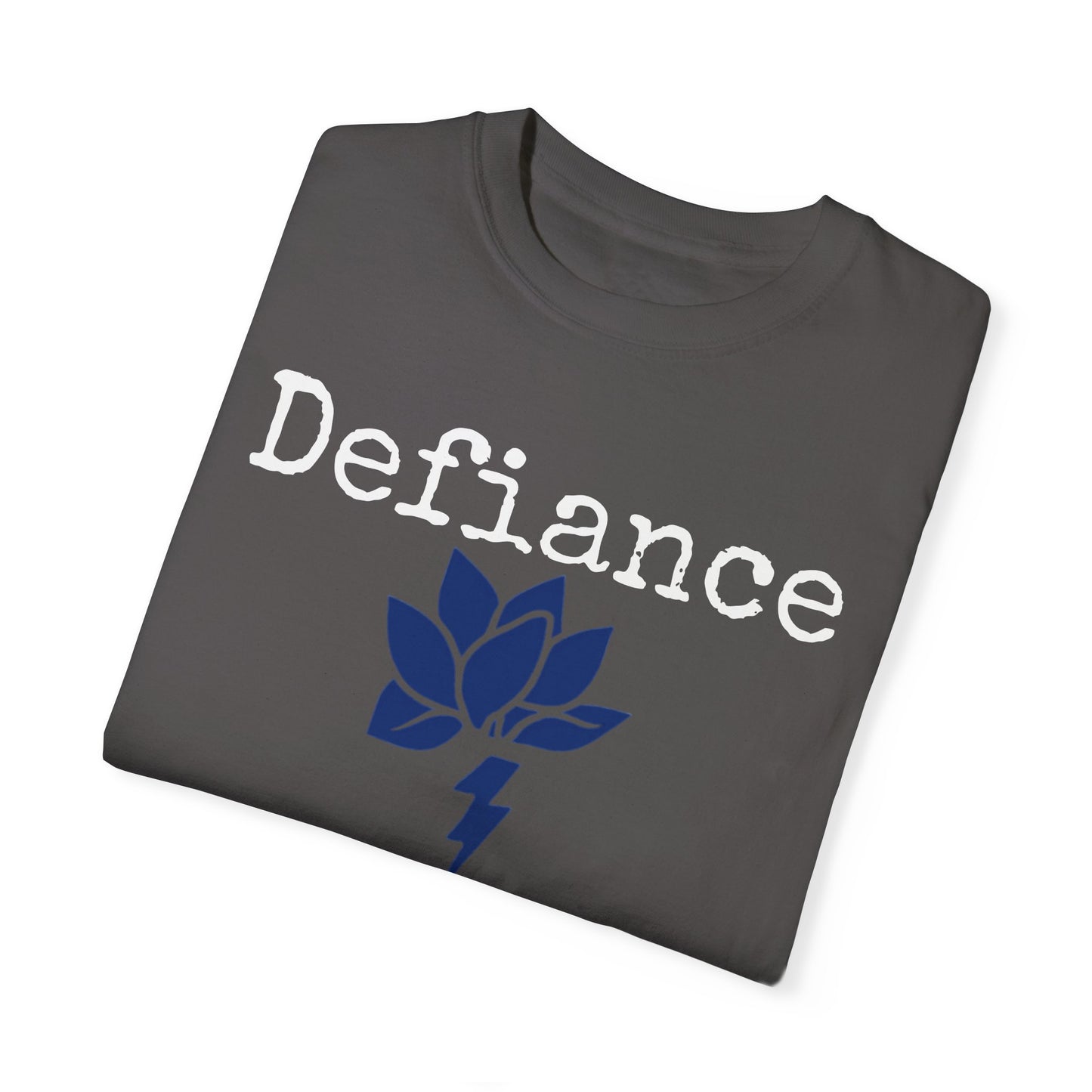 Unisex Garment-Dyed T-Shirt - National Resistance Council Design